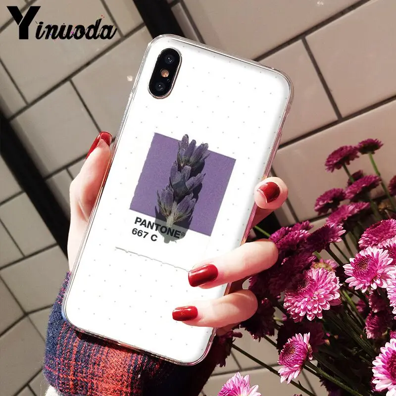 11pro MAX Pantone яркие цвета цветок Новое поступление Прозрачный чехол для мобильного