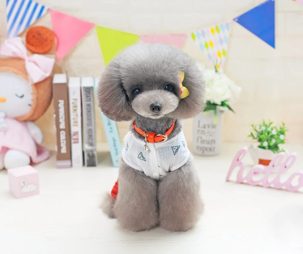 Новинка милая собака четыре лапы питомцы пальто с буквенным узором новинка