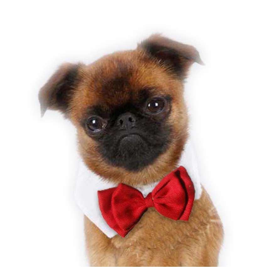 Необычные милые красные кошки собаки галстук для домашних животных Свадьба