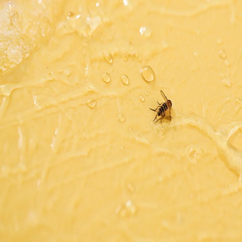 1 Нетоксичная мышка крыса липкая клеевая доска ловушки анти репеллент домашние