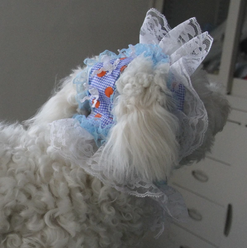 Прекрасный жира домашних собак одежда серии принцесса шляпа кружева кошка