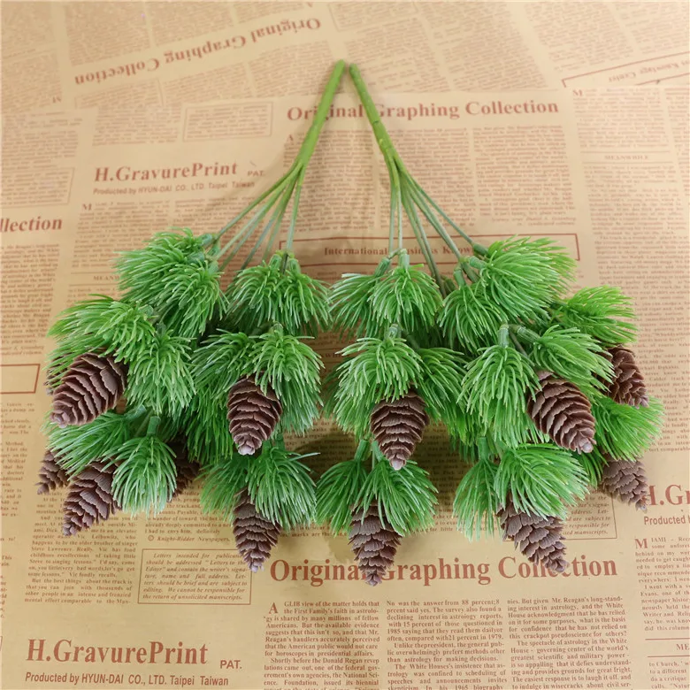 Bыбрать отправку из Испании или Бельгии Никро сосна Связка с орехами