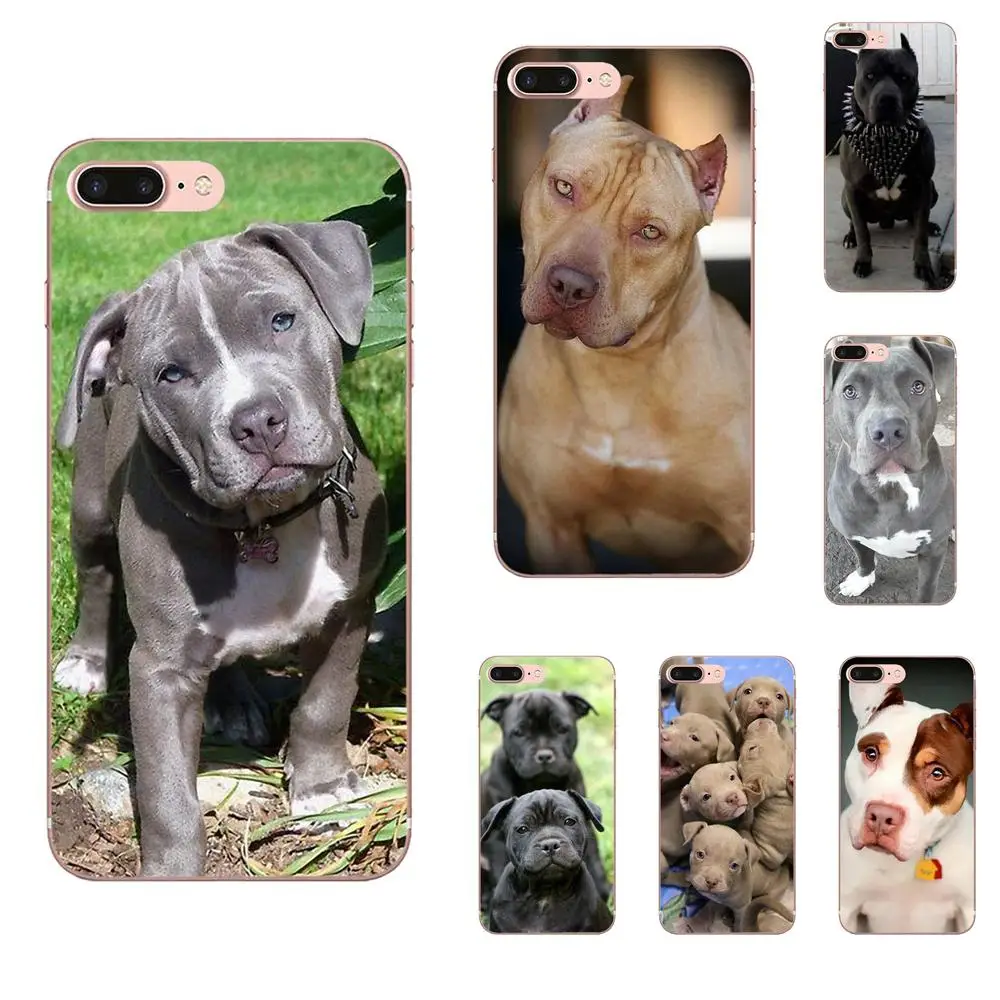 Мягкие Защитные чехлы для Huawei P7 Honor 4C 5A 5C 5X 6 6C 6A 6X 7 7X 8 9 V8 V10 Y3II Y5II Y6II G8 Play Lite Pitbull Dog
