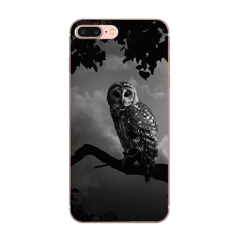 Прозрачный чехол для телефона Huawei P7 P8 P9 P10 P20 P30 Lite Mini Plus Pro 2017 2018 2019 черная ворона с