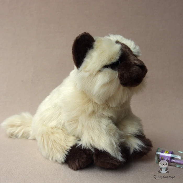 Kawaii мягкие игрушки животных праздничные подарки сиамская кошка кукла настоящая жизнь кошки плюшевые детские игрушки