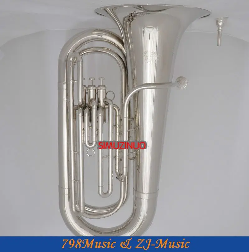 Рисунок 6 - Профессиональный никелевый посеребренный