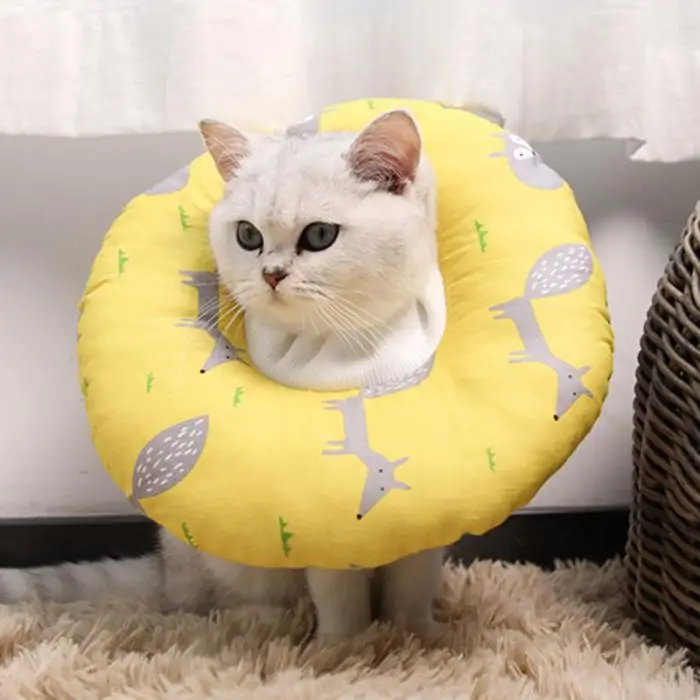 Pet защитный Восстанавливающий декорированный ошейник для кошки анти-Лизуны Elizabeth ошейники для хирургического средства ухода TN99