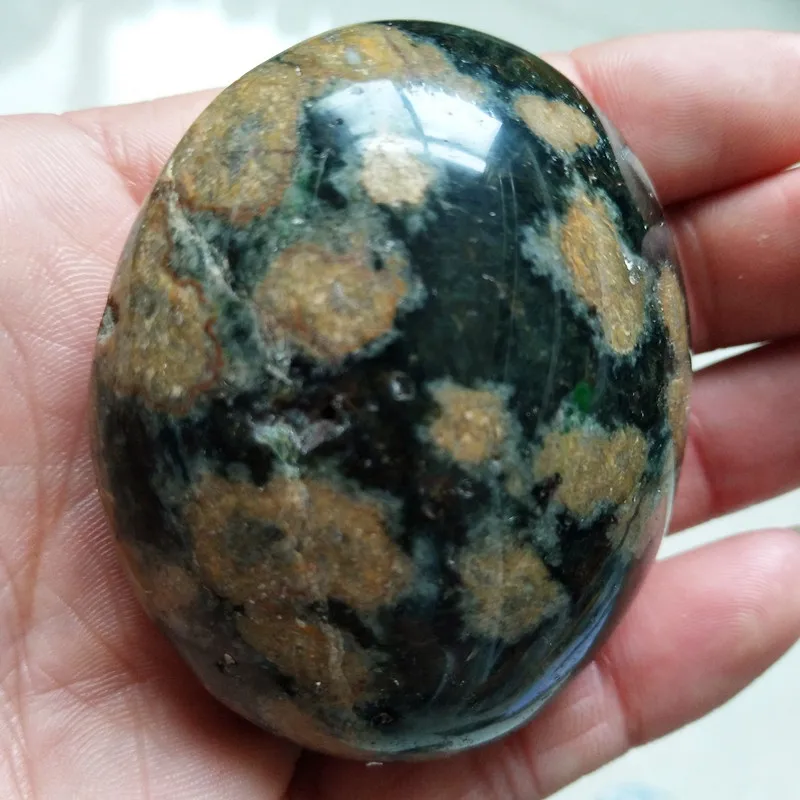 Камни и кристаллы натуральный морской яшма пальмовый камень украшения