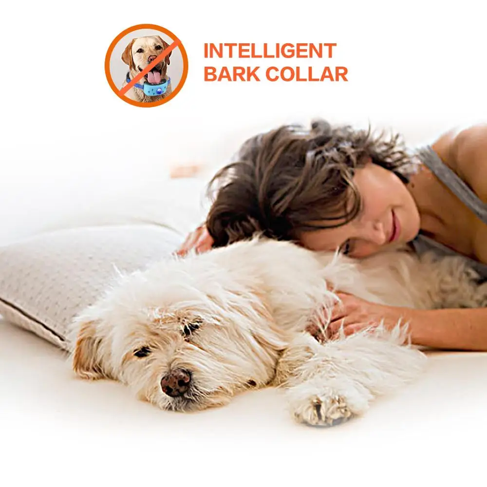 Ошейник для дрессировки собак автоматический водонепроницаемый ошейник с