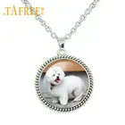 TAFREE милый Померанский Пудель собака фото кулон ожерелье круглой формы стеклянный купол подвески для женщин девушек Собака любимый подарок FQ12