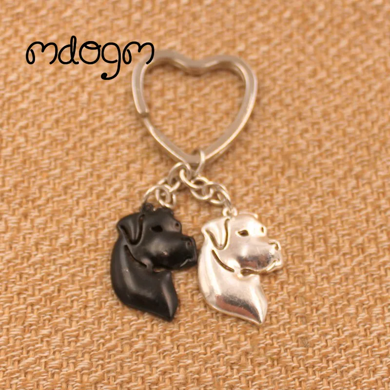 Dogo Аргентина собаки с анималистическим принтом покрыто золотом серебром