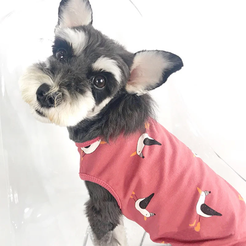 Хлопковая летняя Классная жилетка для собаки с принтом чайки одежда маленьких