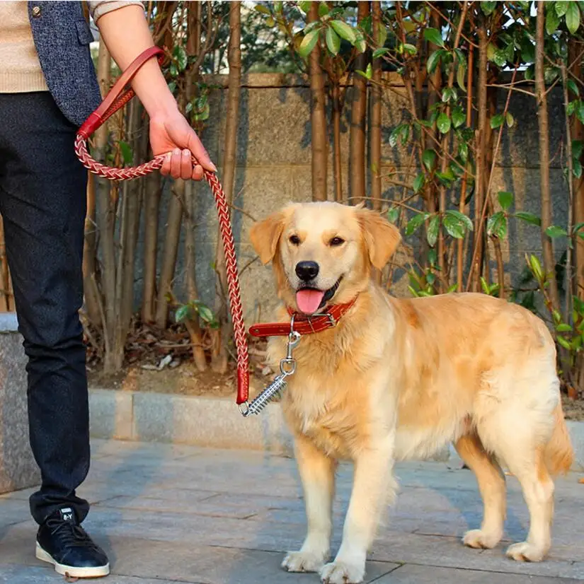 Поводки для больших собак из натуральной кожи черные/коричневые 2016|large dog leash|traction