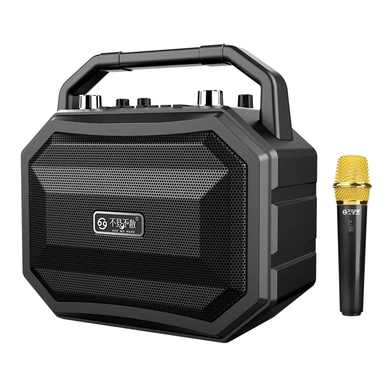 Mifa M520 Bluetooth колонка с беспроводным микрофоном мобильная Беспроводная для караоке