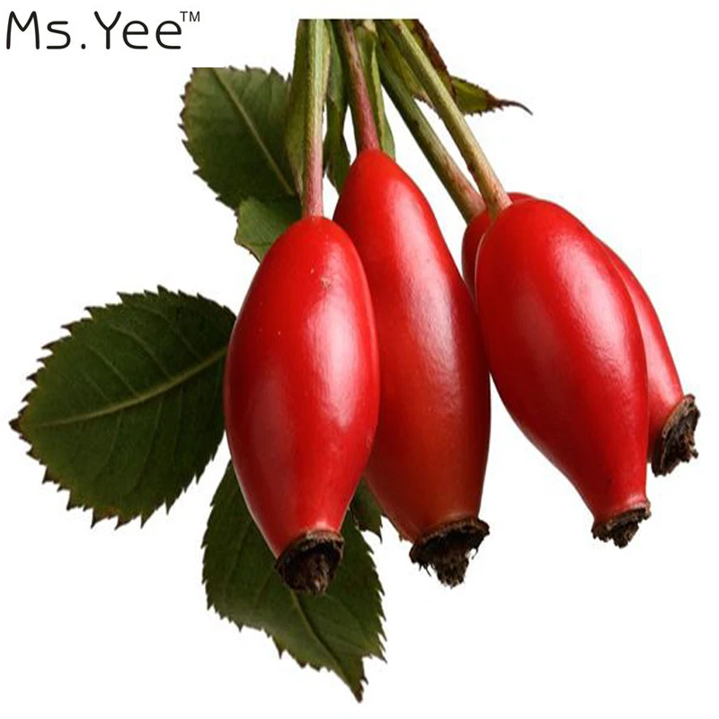 Масло шиповника 100% чистый органический лучший увлажняющий крем для заживления