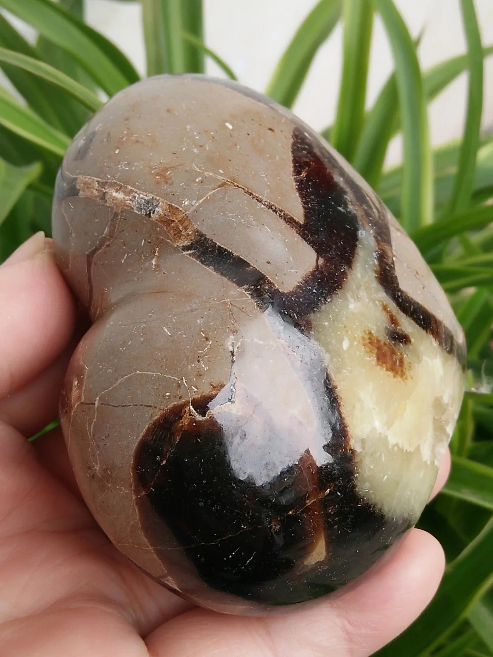 Черепаха из натурального камня старинный образец горной породы в форме