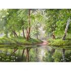 Полная квадратнаякруглая Алмазная вышивка лес бассейн 5D DIY алмазная живопись вышивка крестиком Стразы мозаика D21