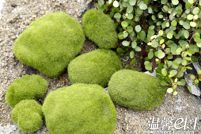 Имитация бриофита Моха флокирования искусственной лужайки микро ландшафта