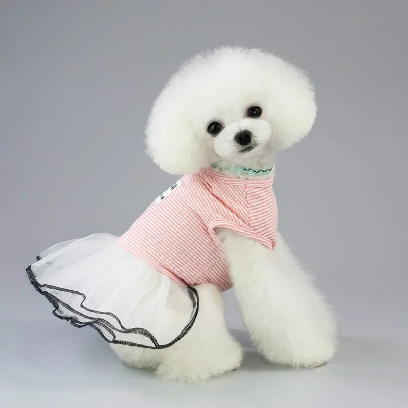 2019 весна и новые летние Pet Костюмы Одежда для питомцев собачий одежда детское