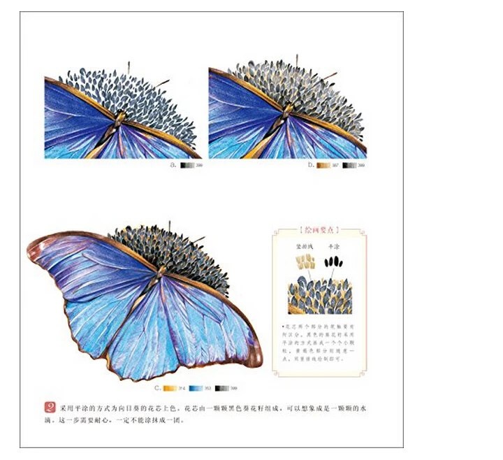 Chinese line drawing books for adult coloring Color pencil painting training book beginners -flower butterfly | Канцтовары для