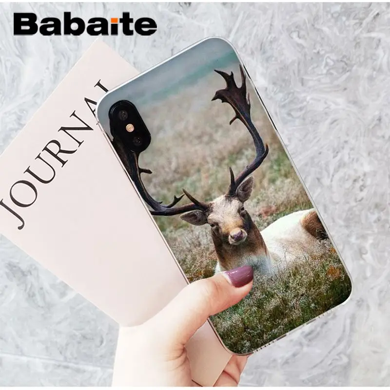 Babaite Лесной Олень ТПУ прозрачный чехол для телефона чехол для Apple iPhone 8 7 6 6S Plus X XS MAX 5 5S SE XR сотовые телефоны