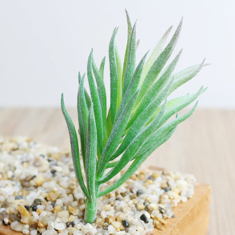 Новое поступление 1 шт. Искусственные суккуленты яркая Орхидея Трава