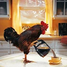 Алмазная картина 5D полностью квадратнаякруглая дрель петух кофе мультфильм животные подарок детям Daimond Картина Вышивка крестом мозаика