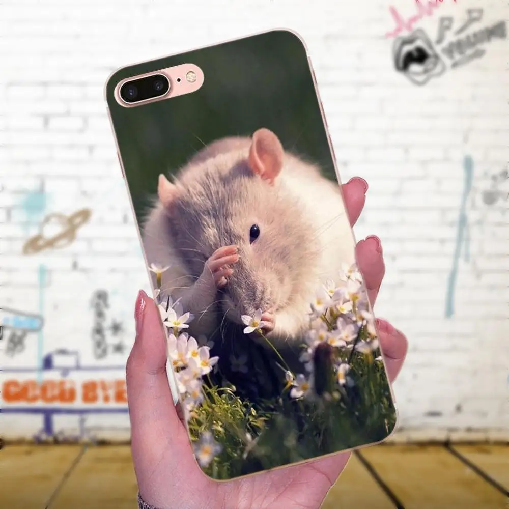 Мягкий ТПУ чехол для iPhone 4 5 5C 6 6S 7 8 Plus X XS Max XR модный сотовый Чехол с милыми