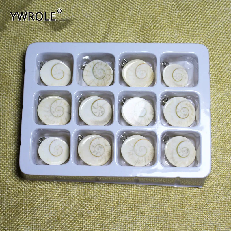 12 штук в штучной упаковке оптовая продажа разнообразные нестандартные ракушки