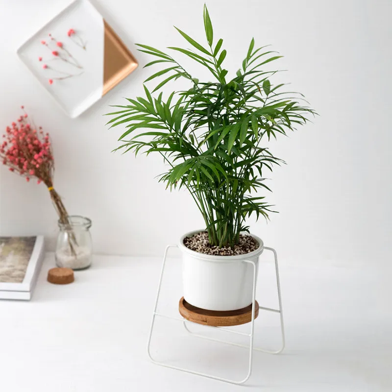 Горшки для растений керамическая круглая чаша сада большой поднос кактуса с