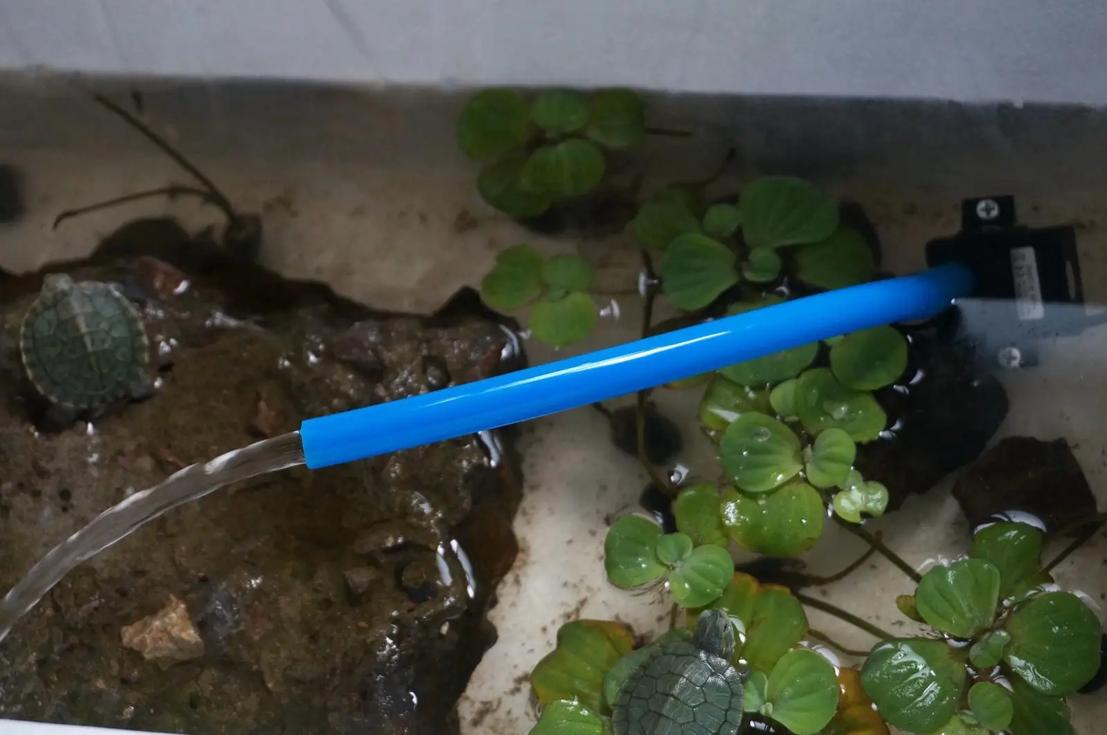 

Ultra-quiet DC 12V Waterproof Brushless Pump Mini Submersible Water Pump