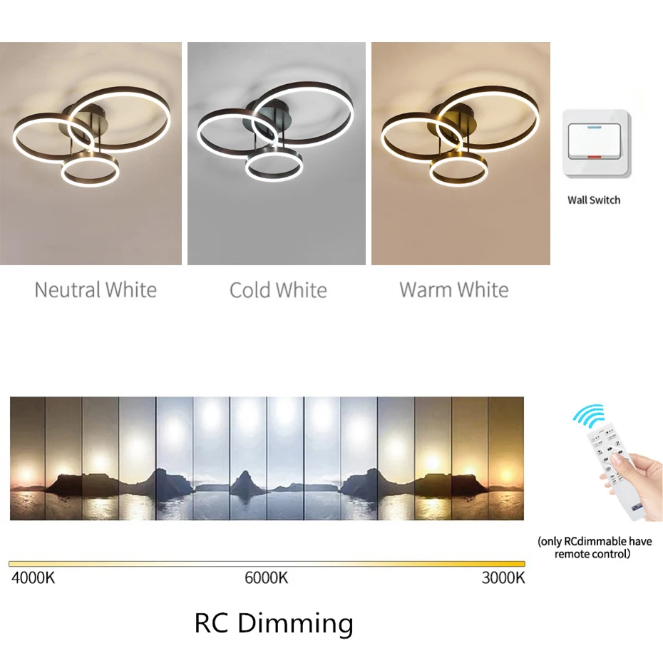 

New Arrival Creative Round Acrylic LED Ceiling Lamp Nordic Coffee Color Iron Foyer Ceiling Light Surface Mount Flush Panel Lamp