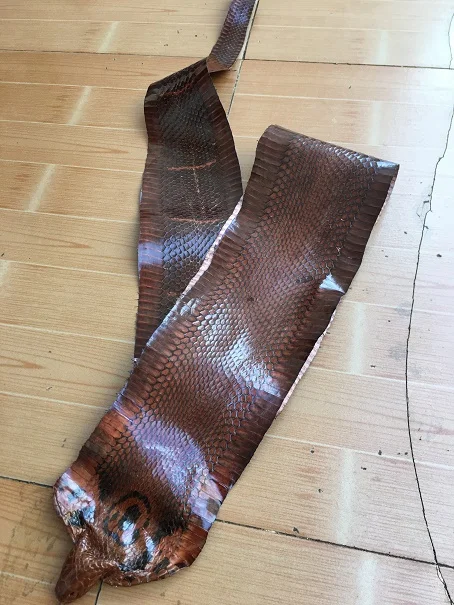 Натуральная коричневая/черная змеиная кожа width12cm-14cm | Дом и сад