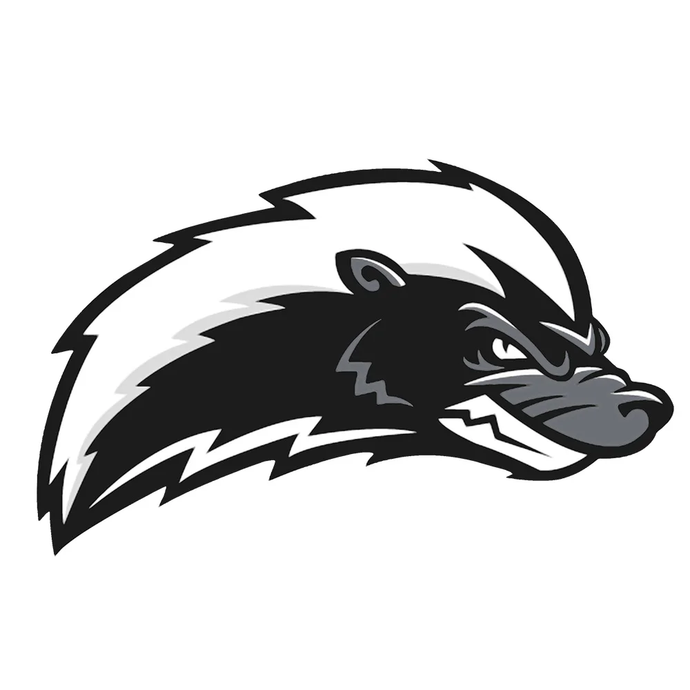 Новые съемные и многоразовые наклейки s Car Head of Honey Badger Home Sticker Переводные картинки