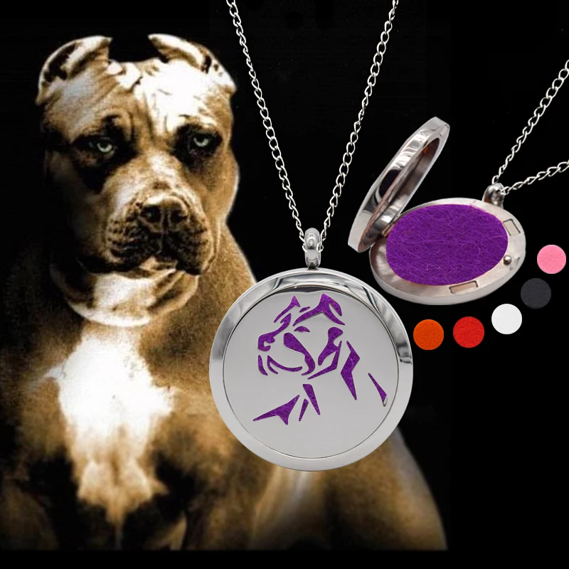PITBULL therapтерапия эфирное масло колье аромараспылитель из нержавеющей стали для