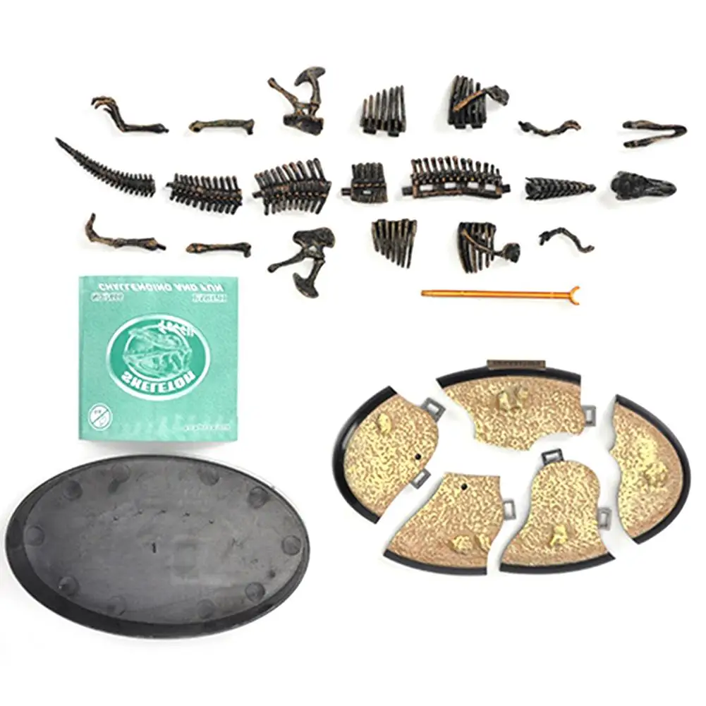 4D сборка окаменелого скелета динозавра моделирование животных модель игрушки