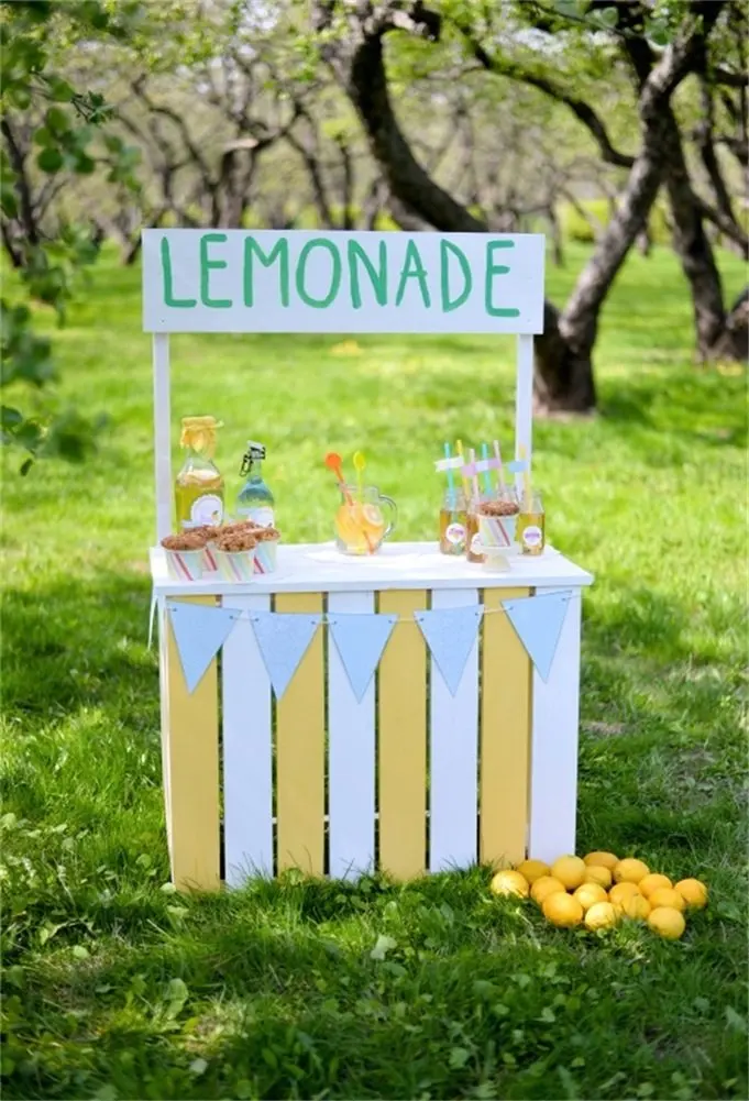 Photography Backdrop Lemonade Stand on Green Grass Spring Photo Background Party | Электроника