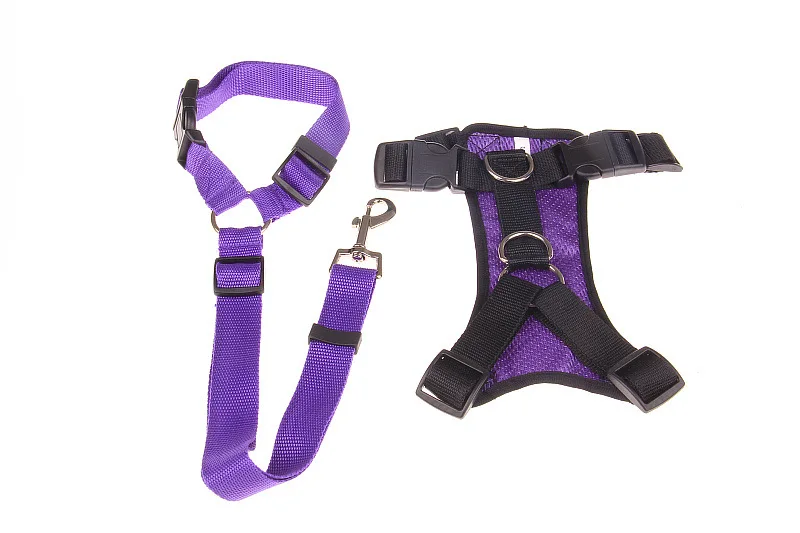 Purple Set Ремень безопасности для щенка, собаки, ремень безопасности для домашних собак, ошейник для собаки, поводок, 5 цветов - Цвет: Purple Set