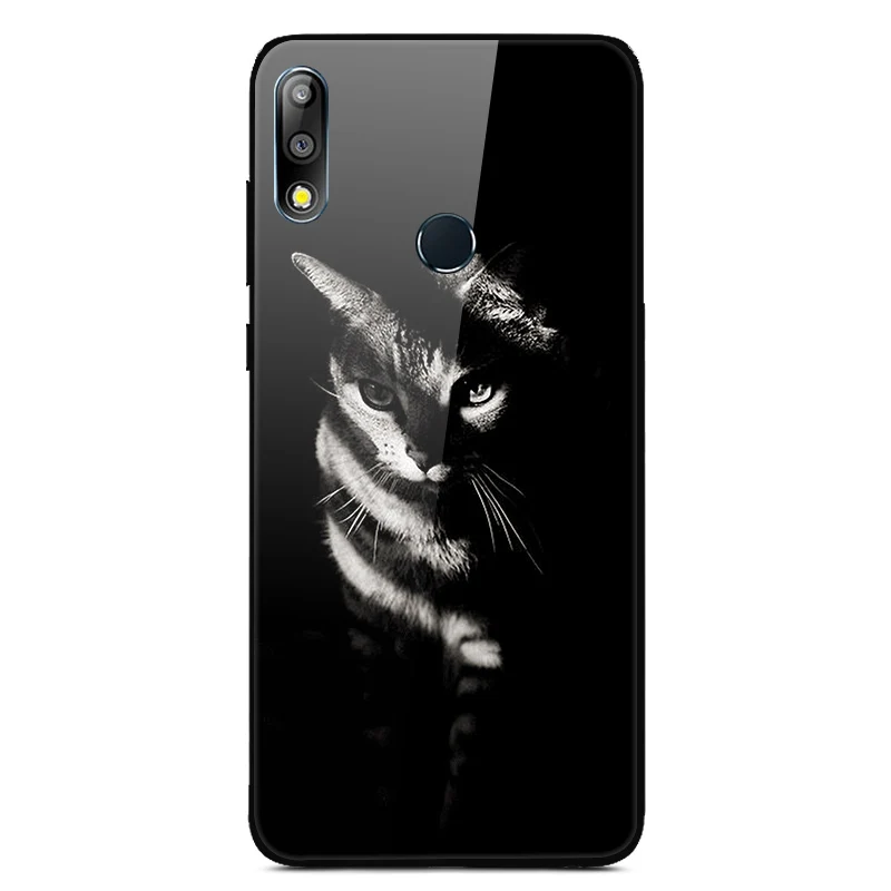 Чехол из закаленного стекла для Asus Zenfone Max Pro M2 ZB631KL, Мягкий бампер с принтом, чехол для Asus ZB631KL, стеклянный чехол с изображением животных и цветов