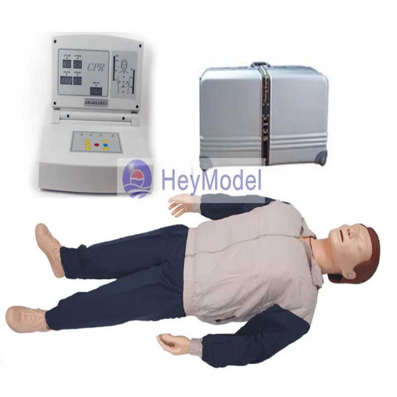 

HeyModel Life Size CPR training Manikin Model CPR600