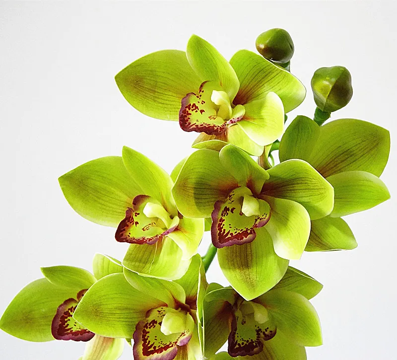 Настоящее прикосновение 3D печать искусственный цветок орхидеи Cymbidium латексный имитирующий цветок для украшения дома и свадьбы