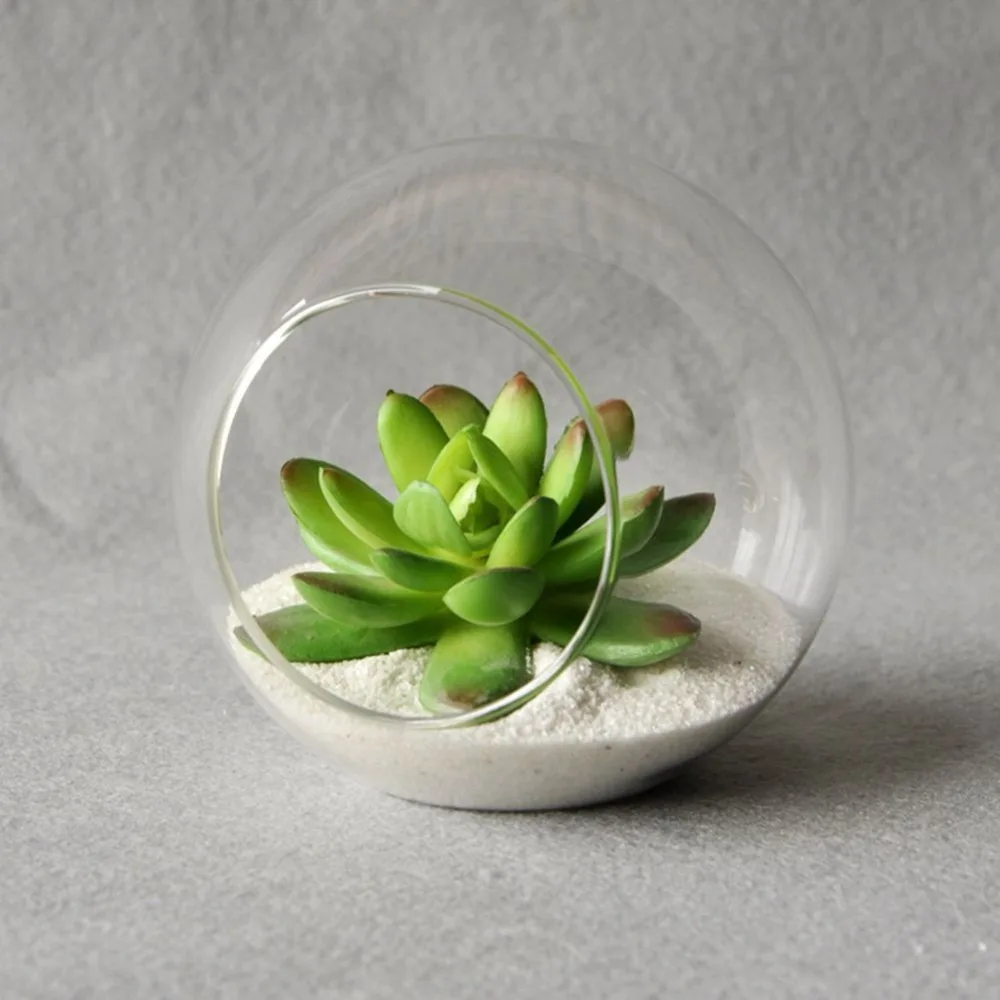

Meet Jo Transparent Glass Tabletop Vases Flower Plant for Living Room Homes Garden Decoration Plants Container 1pc
