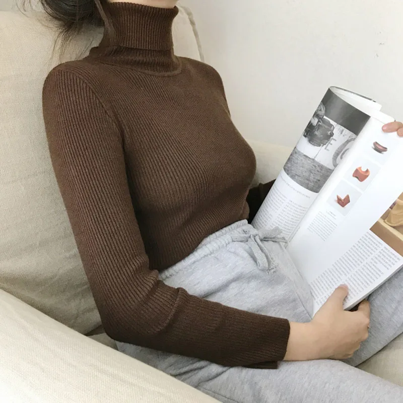 Thick Turtleneck Warm Women Sweater Autumn Winter Knitted Femme Pull High Elasticity Solid Soft Female Pullovers | Женская одежда