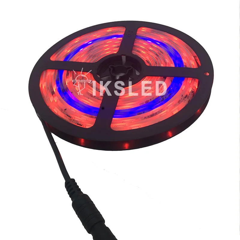 5 м/лот RGB Мечта Магическая Светодиодная лента DC12V IP67 водонепроницаемый 1903 IC 2811 5050