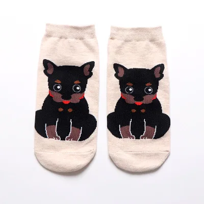 3 Женские носки г., модные носки с рисунками из мультфильмов, каваи, Сиба, бультерьер, собака породы бигль, носки с животными креативные Забавные милые хлопковые носки с надписью Happy - Цвет: 3