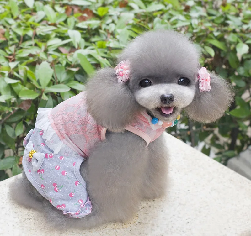 Милое кружевное пальто с бантиком и принтом Щенячий патруль для маленьких собак