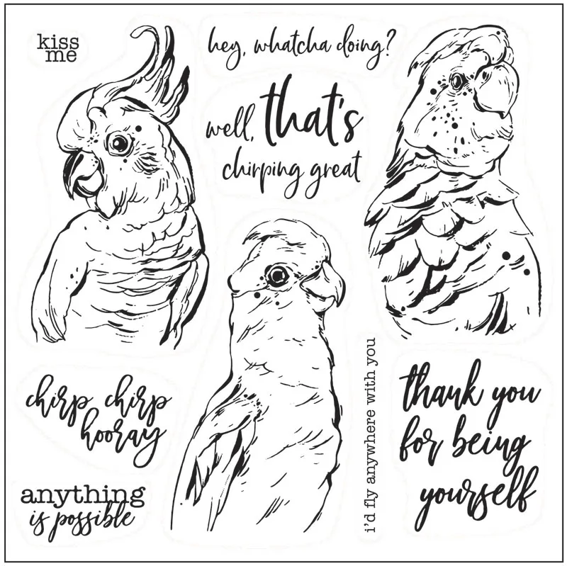 Parrot chirp прозрачный штамп для самостоятельного скрапбукинга/изготовления