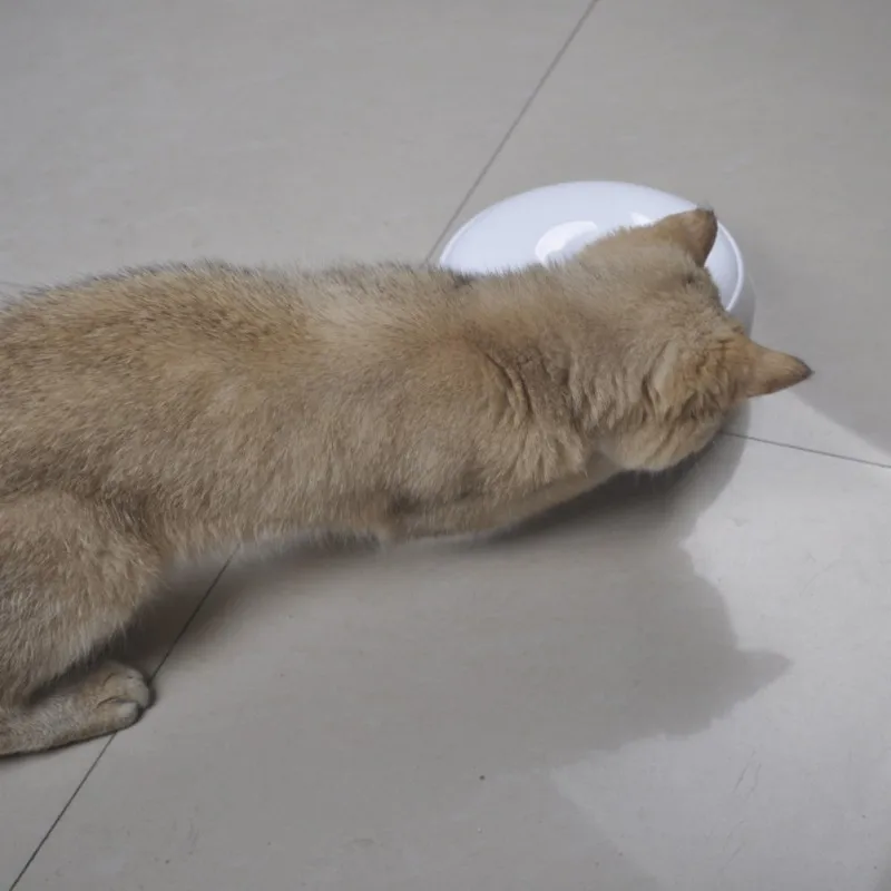 

Electric Funny Cat Playing Toy For Interactive Cat Toys Automatic Rotating Cat Play Plate Mice Colorful Lighting Catch Toys