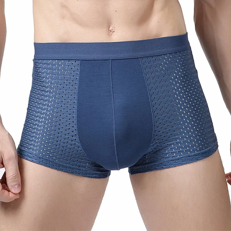 Синий 4XL, плюс размер, мужское нижнее белье, бамбуковые трусы, мужские прозрачные трусы, мужские сексуальные боксеры, мужские сетчатые трусы, мужские шелковые боксеры - Цвет: Синий