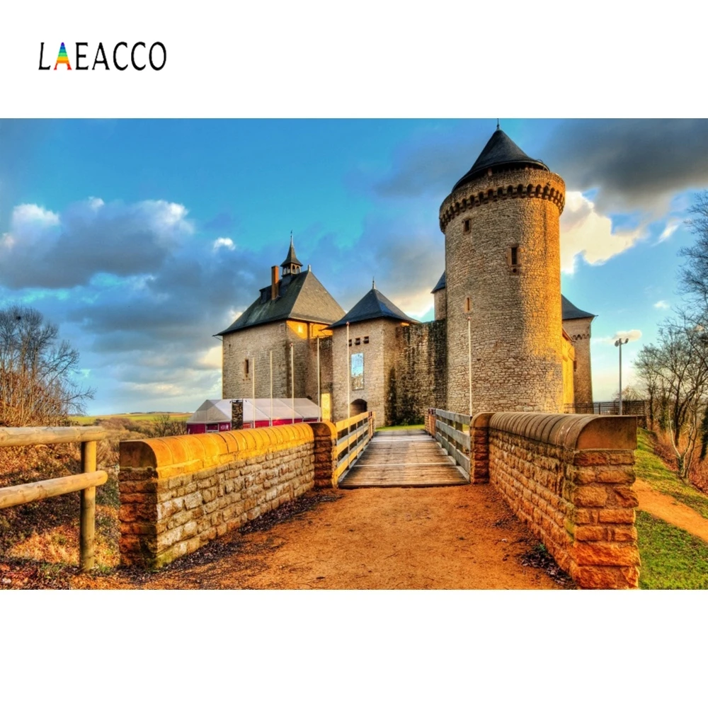 Laeacco внешний кирпичный замок фотографический фон Индивидуальные Портретные